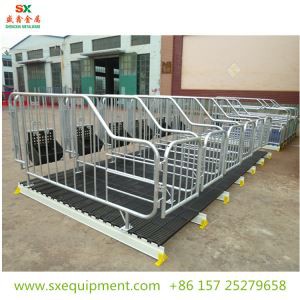 Babi Gestation Crate