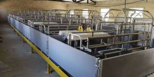 Ladang Pig Farrowing Crate Pembinaan Lantai